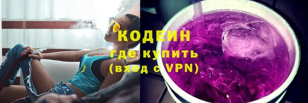 прущие грибы Богородск