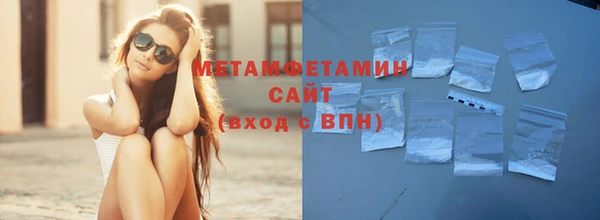 прущие грибы Богородск