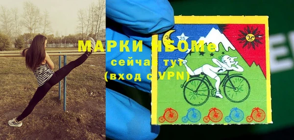 прущие грибы Богородск